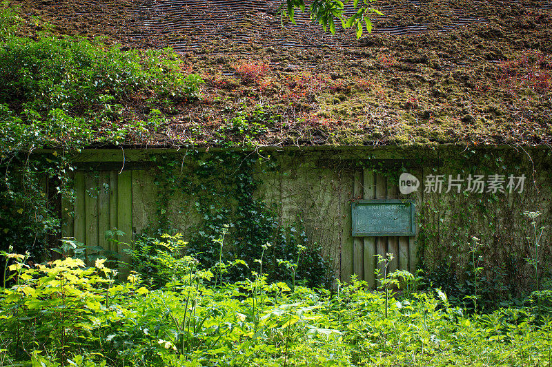 老杂草丛生的谷仓/附属建筑物